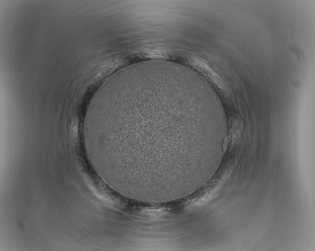 X0000111010213200906261526