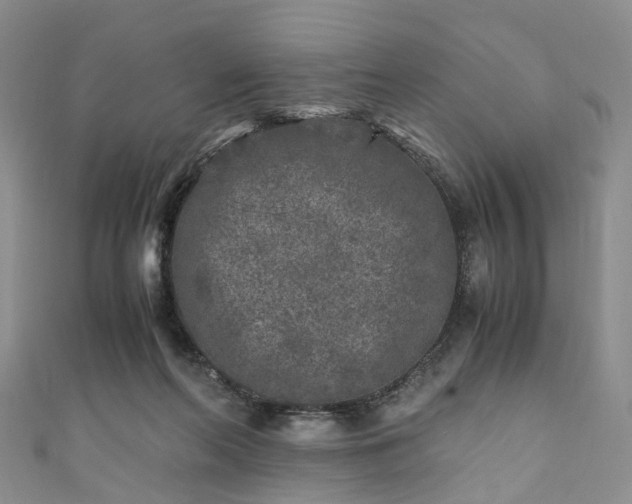 X0000111010214200906261526