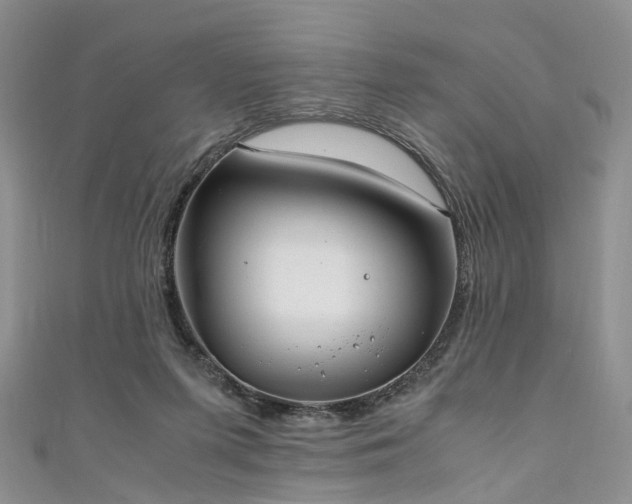 X0000111010215200906261526