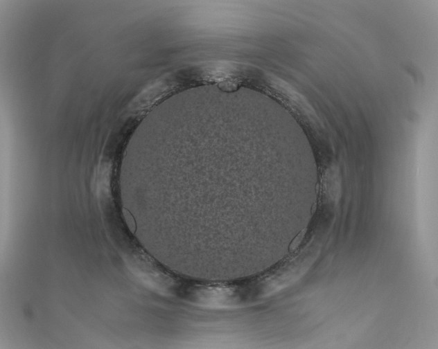 X0000111010217200906261526