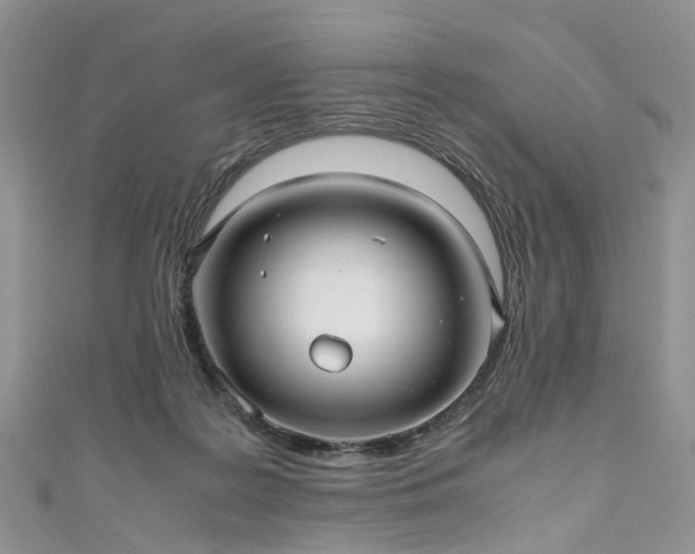 X0000111010219200906261526