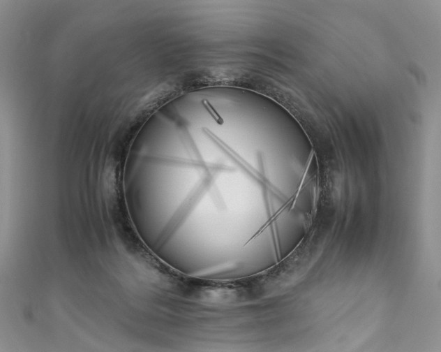 X0000111010220200906261526