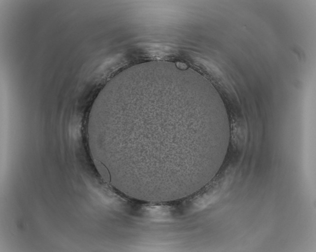 X0000111010221200906261526