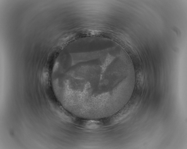 X0000111010222200906261526