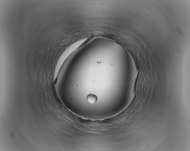 X0000111010223200906261526