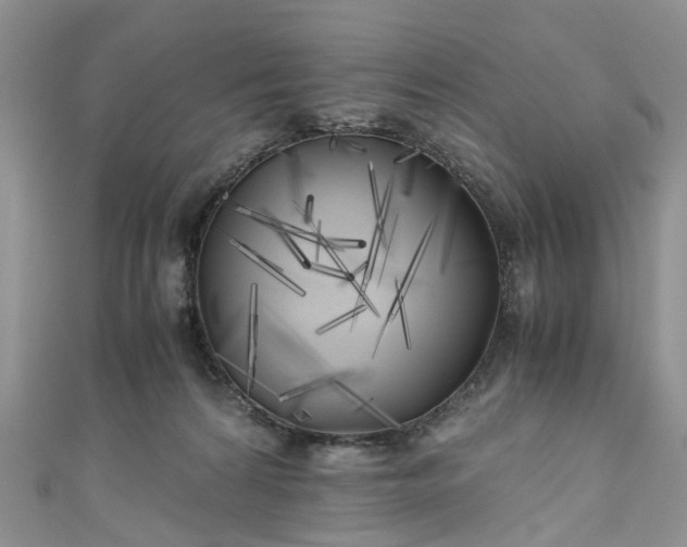 X0000111010224200906261526