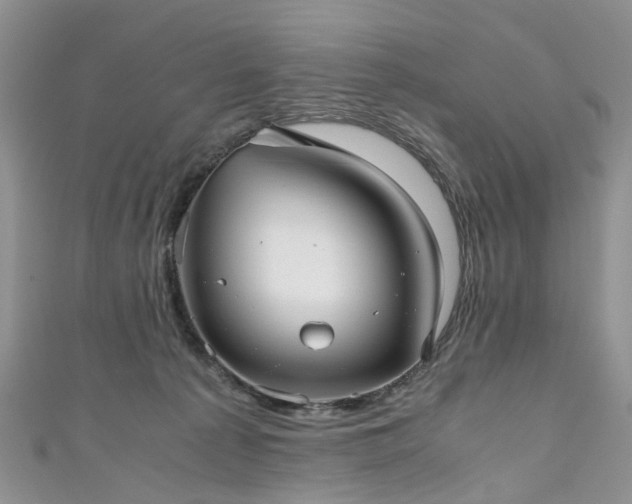 X0000111010225200906261526