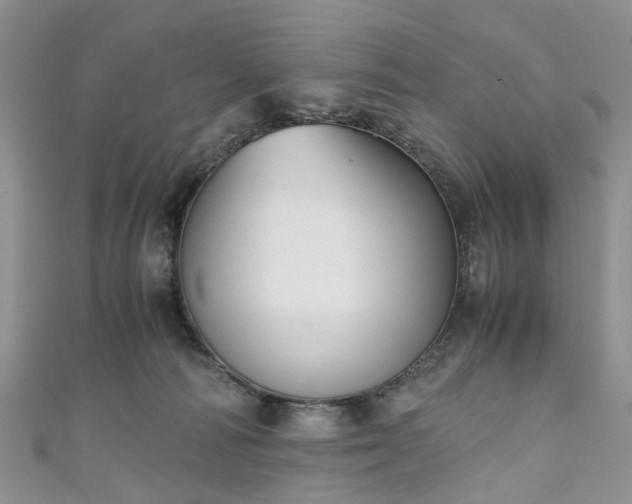 X0000111010226200906261526