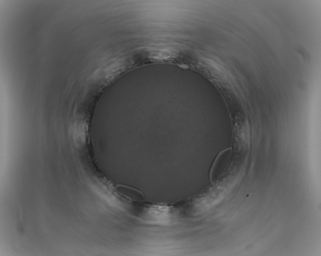 X0000111010227200906261526