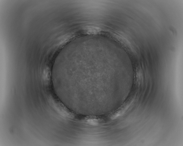 X0000111010228200906261526