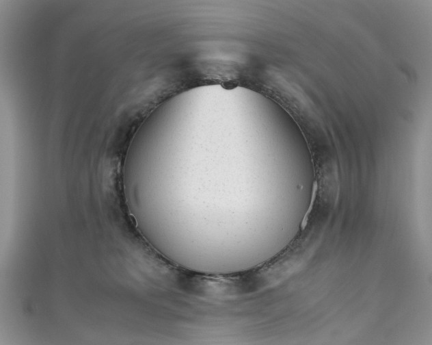 X0000111010229200906261526