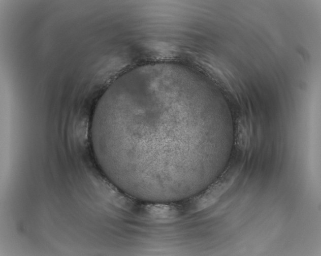 X0000111010230200906261526