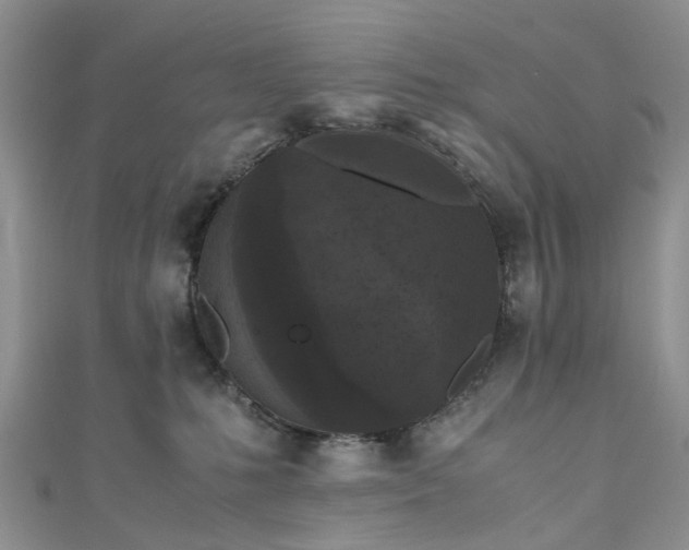 X0000111010231200906261526