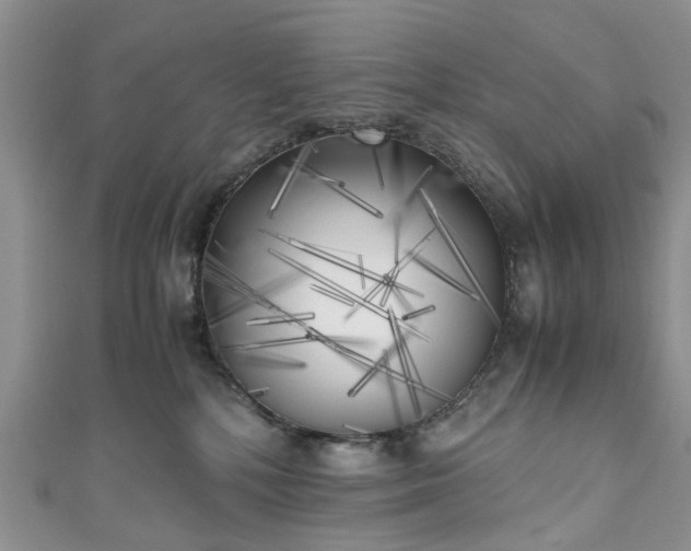 X0000111010232200906261526