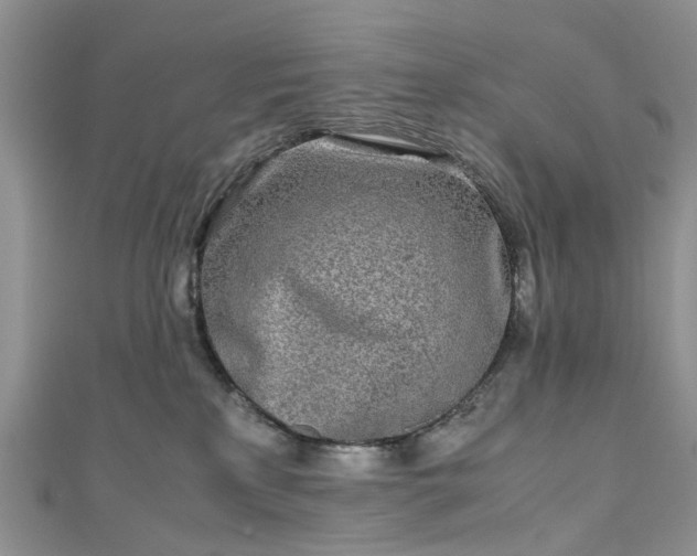 X0000111010233200906261526