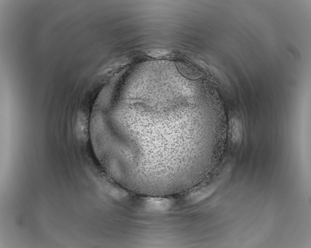 X0000111010234200906261526
