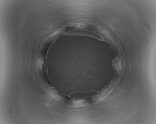 X0000111010235200906261526