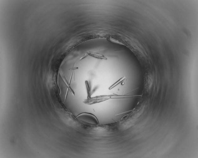 X0000111010236200906261526