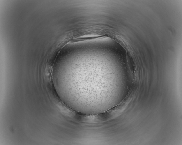 X0000111010237200906261526