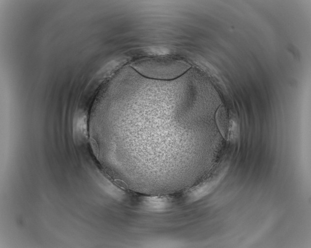 X0000111010238200906261526