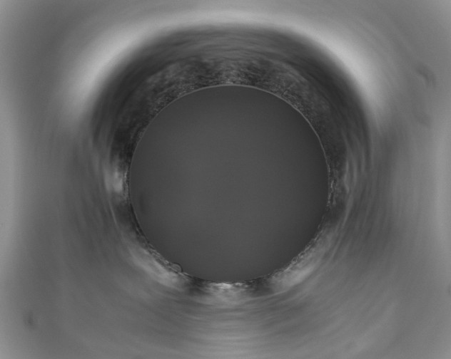 X0000111010239200906261526