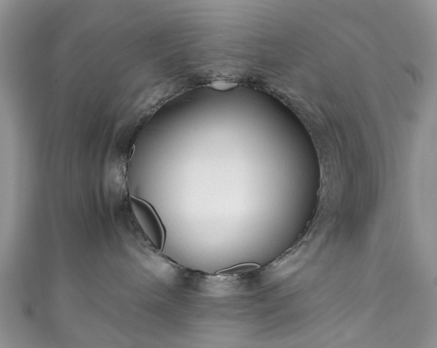 X0000111010240200906261526