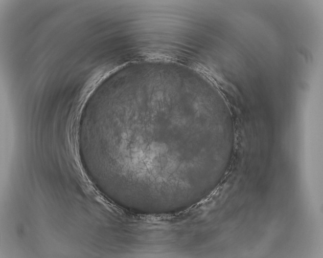 X0000111010241200906261525