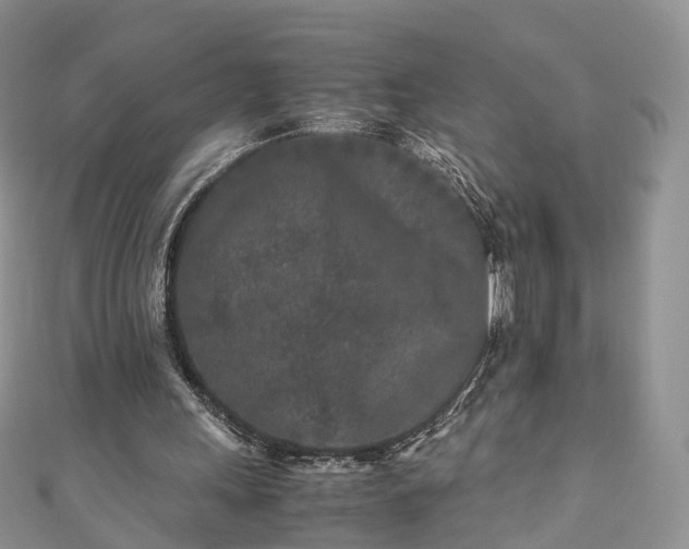 X0000111010243200906261526