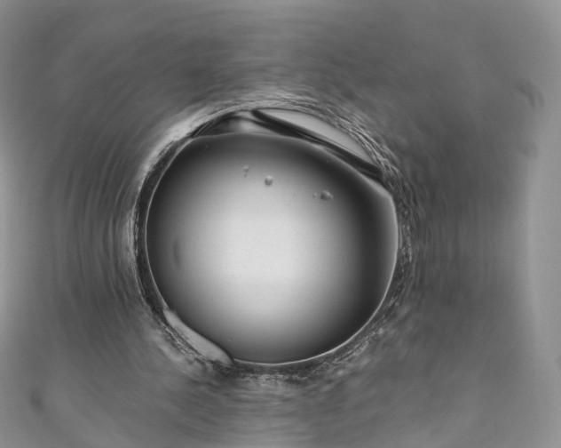 X0000111010244200906261526