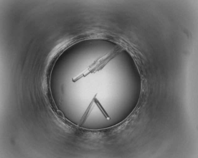 X0000111010245200906261526