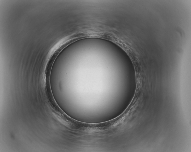 X0000111010246200906261526