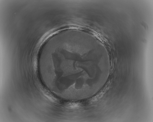 X0000111010247200906261526
