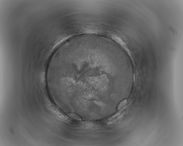 X0000111010249200906261526