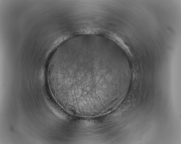 X0000111010250200906261526