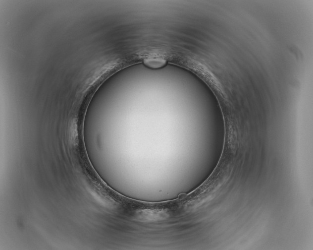 X0000111010251200906261526