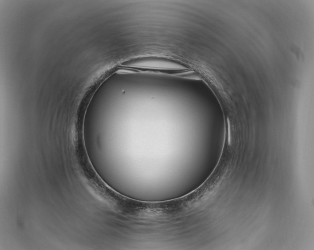 X0000111010252200906261526