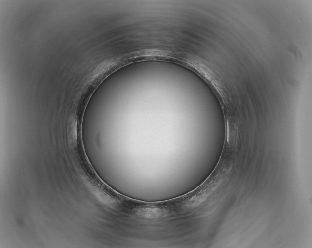 X0000111010253200906261526