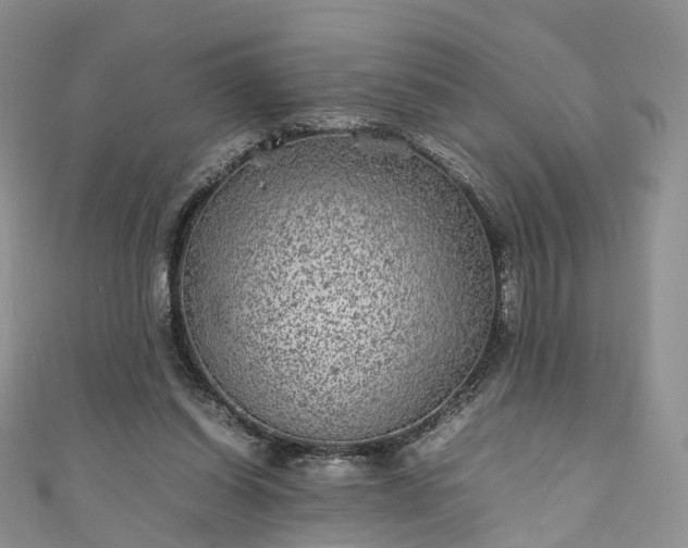X0000111010254200906261526