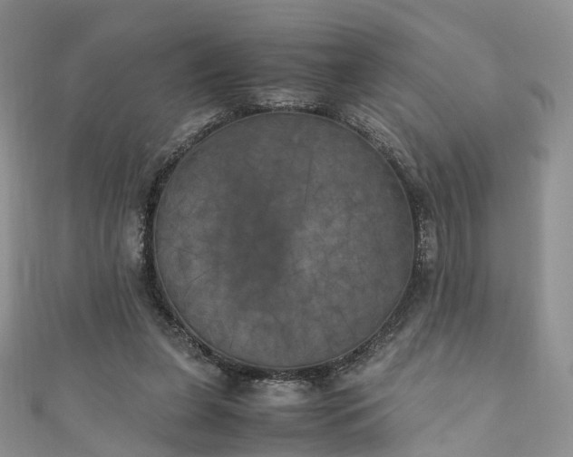X0000111010255200906261526