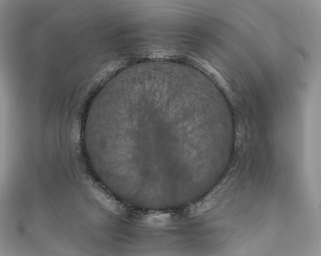 X0000111010257200906261526