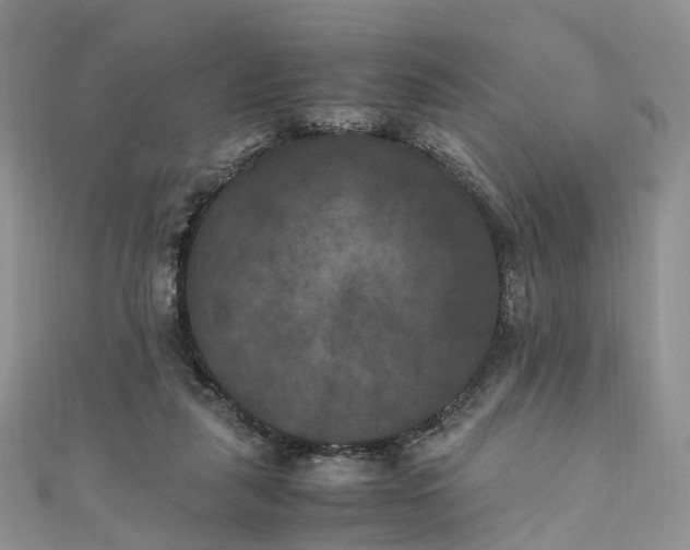 X0000111010259200906261526