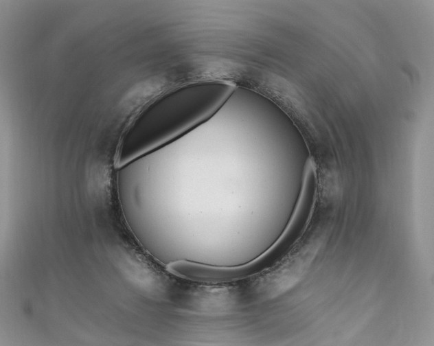 X0000111010260200906261526