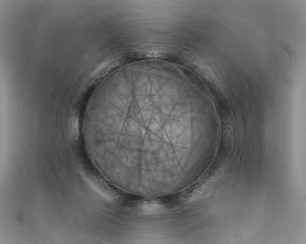 X0000111010262200906261526