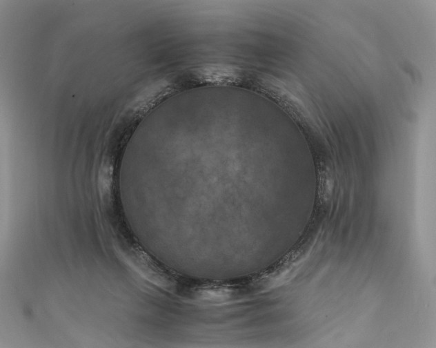 X0000111010263200906261526