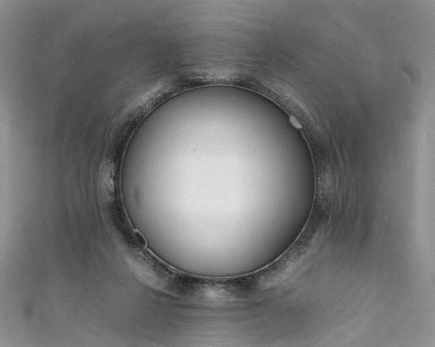 X0000111010264200906261526