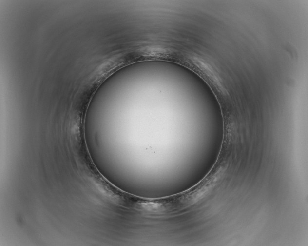 X0000111010265200906261526