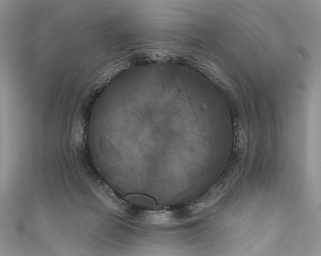X0000111010266200906261526