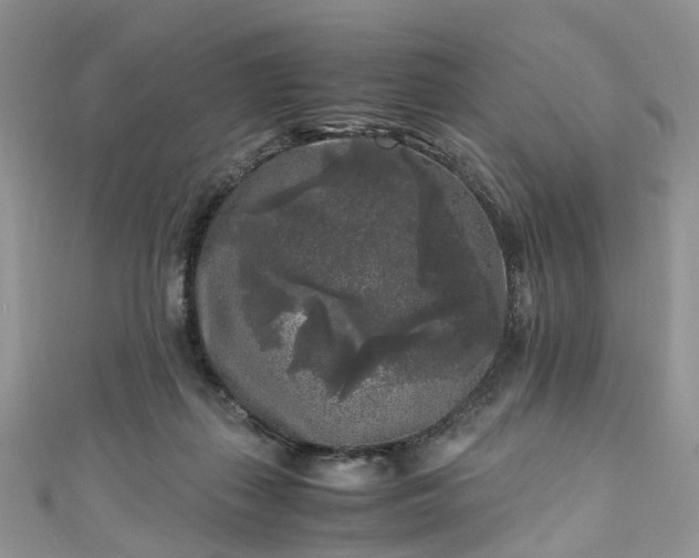 X0000111010267200906261526