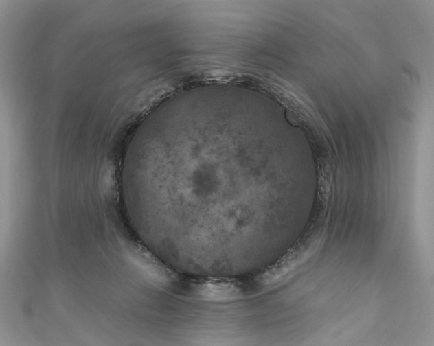 X0000111010270200906261526