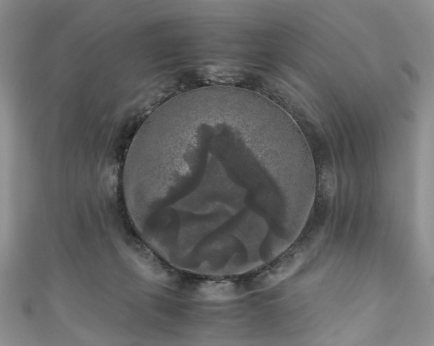X0000111010271200906261526